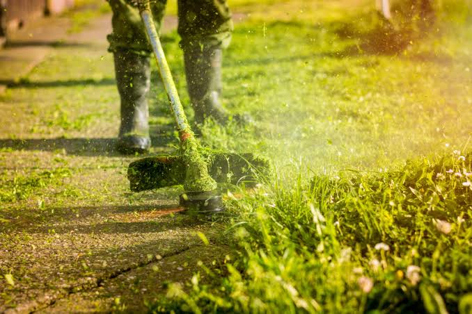 Une personne utilise un coupe-bordure pour tailler l'herbe le long d'un chemin ensoleillé.